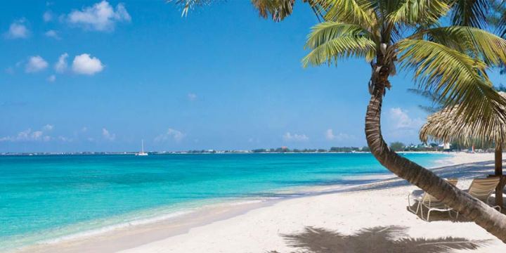 Ready, Set, Vacation